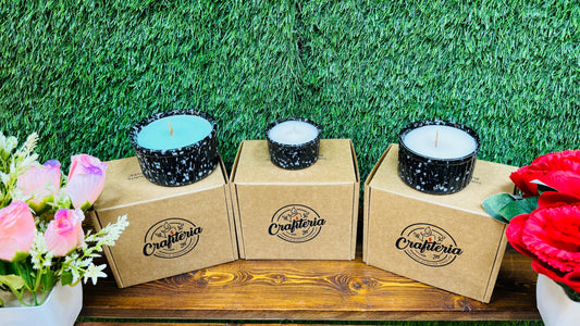 Soy Wax Scented Candles Combo Pack in Ceramic Pot 